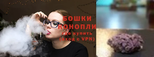 индика Видное