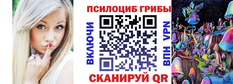 дарнет шоп  Гагарин  Галлюциногенные грибы Cubensis 